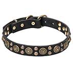 "Boho Style" Adorned Leather Dog Collar with Massive Brass Studs - 1 1/4 inch (30 mm) Wide