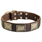 New Gorgeous War Leather Dog Collar with Vintage Look Plates