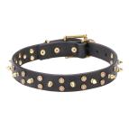 "Space Travel" 30 mm Leather Dog Collar with Brass Stars and Spikes
