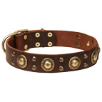 "Space-like" Leather Dog Collar with Brass Decoration