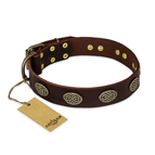 ‘Chocolate kiss’ FDT Artisan Leather Dog Collar with Old Bronze Look Oval Plates - 1 1/2 inch (40 mm) wide