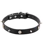 "Pirate" Black Leather Dog Collar with Nickel Plated Spikes and Skulls