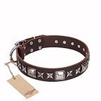 'Perfect Impression' FDT Artisan Brown Leather Dog Collar with Silvery Square Studs - 1 1/2 inch (40 mm) Wide