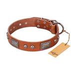 'Sparkling Skull' FDT Artisan Tan Leather Dog Collar with Old Silver Look Plates and Skulls - 1 1/2 inch (40 mm) wide