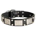 Hot Decorated Leather Dog Collar with Plates and Studs