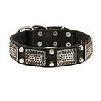 Wide Leather Dog Collar Decorated with Silvery Plates and Cones