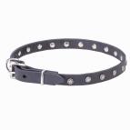 "Stellar" 20 mm Leather Dog Collar with Nickel Plated Stars