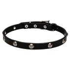 "Lucky" 20 mm Leather Dog Collar with Nickel Plated Engraved Studs