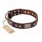 ‘Sparkling Bronze’ FDT Artisan Genuine Leather Dog Collar with Bronze Look Stars and Plates - 1 1/2 inch (40 mm) wide