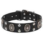 'Gothic Style' Leather Dog Collar with Oval Plates and Half Ball Studs