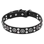 'Galactic Style' Leather Dog Collar with Silver-like Circles and Round Studs