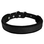 Padded Leather Dog Collar for Agitation Training 1 inch (2.5cm) width
