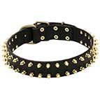 "Unveiled Luxury" Classic Design Walking Leather Dog Collar with Spikes