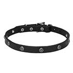"Sparkling Beauty" Leather Dog Collar with Engraved Studs - 3/4 Inch (20 mm) wide