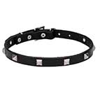 "A La Mode" 3/4 Inch (20 mm) Wide Studded Leather Dog Collar for Walking in Style