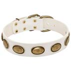 White Leather Dog Collar with Brass Plates for Walking
