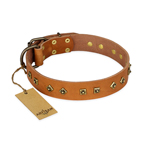 ‘Autumn Story’ FDT Artisan Leather Dog Collar with Old Bronze Look Studs - 1 1/2 inch (40 mm) wide