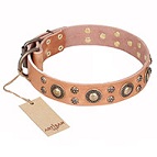 "Sophisticated Glamor" FDT Artisan Leather Dog Collar with Fancy Old-bronze Plated Decorations - 1 1/2 inch (40 mm) wide