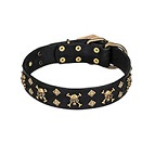 'Jolly Rojer' FDT Artisan Leather Dog Collar with Pirate Skulls and Studs - 1 1/2 inch (40 mm) wide