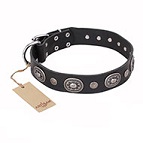 ‘Black Tie’ FDT Artisan Leather Dog Collar with Old Silver-like Decorations - 1 1/2 inch (40 mm) wide