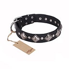 ‘Silver Charm’ FDT Artisan Leather Dog Collar with Silvery-Plated Large Square Studs - 1 1/2 inch (40 mm) wide