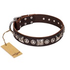 'Pierian spring' FDT Artisan Brown Leather Dog Collar with Silvery Decorations - 1 1/2 inch (40 mm) wide