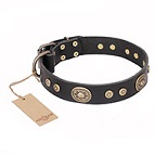 'Golden Radiance' FDT Artisan Black Leather Dog Collar with Old Bronze Look Ovals and Circles - 1 1/2 inch (40 mm) wide