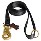 Extreme Walking Nylon Dog Leash with Extra Strong Brass Snap Hook