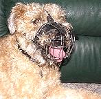 Wire Basket Dog Muzzles Size Chart - M4light_1