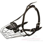Wire Basket Dog Muzzle for Everyday Walking and Obedience Training