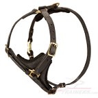 Tracking / Walking dog harness made of leather - H3