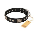 'Pirates Gold' FDT Artisan Black Leather Dog Collar with Old Silver Look Plates and Skulls - 1 1/2 inch (40 mm) wide