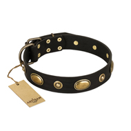 ‘Eye-Catcher’ FDT Artisan Black Leather Dog Collar for Walking in Style - 1 1/2 inch (40 mm) wide