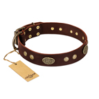'Old-fashioned Glamor' FDT Artisan Brown Leather Dog Collar with Old Bronze Look Plates and Circles - 1 1/2 inch (40 mm) wide