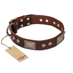 FDT Artisan 'Loving Owner' Decorated Leather Dog Collar with Plates and Studs 1 1/2 inch (40 mm)