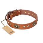 'Stunning Dress' FDT Artisan Tan Leather Dog Collar with Old Bronze Look Plates and Studs - 1 1/2 inch (40 mm) wide