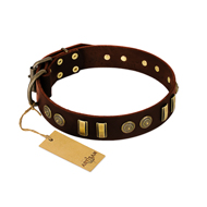 'Golden Elegance' FDT Artisan Brown Leather Dog Collar with Old Bronze-like Decorations - 1 1/2 inch (40 mm) wide