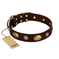 ‘Hebe’s Jewel’ FDT Artisan Brown Genuine Leather Dog Collar - 1 1/2 inch (40 mm) wide