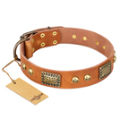 'Saucy Nature' FDT Artisan Tan Leather Dog Collar with Old Bronze Look Plates and Skulls - 1 1/2 inch (40 mm) wide