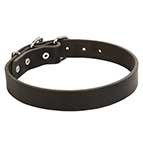 Classic Design Leather Dog Collar - 1 1/5 (3 cm) wide
