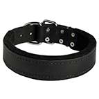 Wide Leather Dog Collar with Felt Padding for Training and Walking