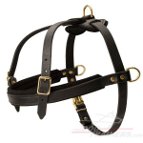 Golden Retriever Pulling/Tracking Leather Dog Harness | Training Supplies
