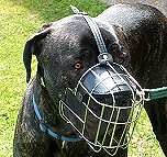 Scooby wearing our exclusive Wire Basket Dog Muzzles Size Chart - Great Dane muzzle - M4light