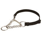 All Weather Nylon Martingale Dog Collar - 51614nylon - 4/5 inch (20 mm) width nylon strap