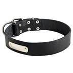 Leather Dog Collar with ID Tag for Training and Walking