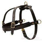 Tracking/Pulling Leather Dog Harness-Labrador Retriever