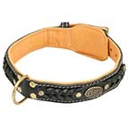Luxurious Trendy Dog Collar with Nappa Padding and Braids