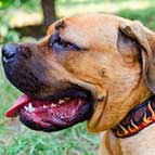 Hand-Painted with Flames Leather Cane Corso Collar