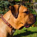 Studded Hand-Made Leather Cane Corso Collar