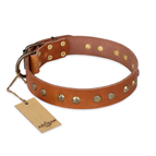 'Spring Flavor' FDT Artisan Adorned Leather Dog Collar with Old Bronze-Plated Engraved Studs 1 1/2 inch (40 mm) Wide